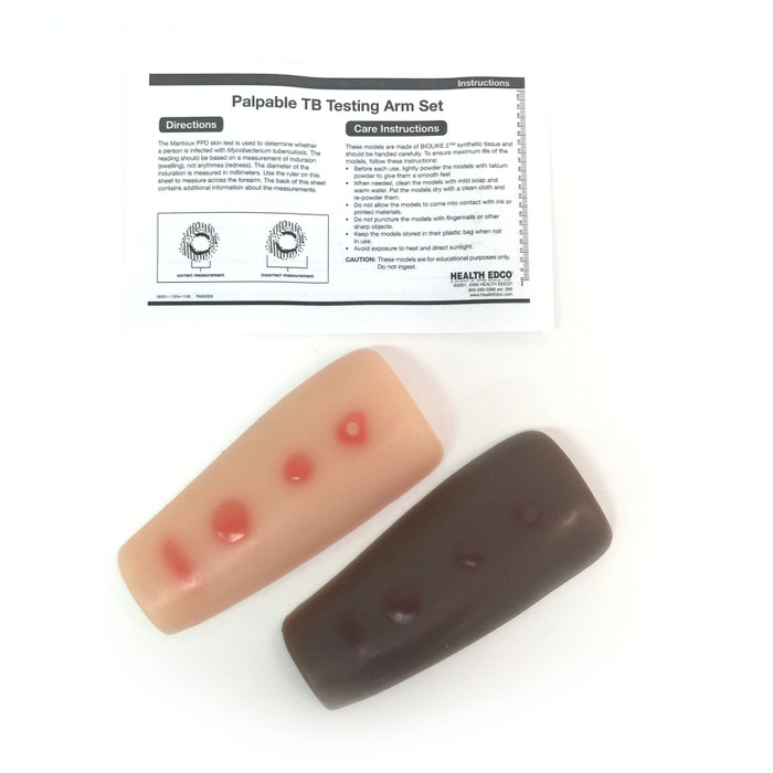 Palpabal Palpable TB Testing Arm Set | Health Edco | Teaching Models
